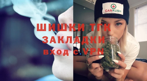 PSILOCYBIN Осташков